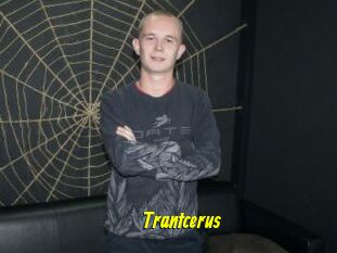 Trantcerus