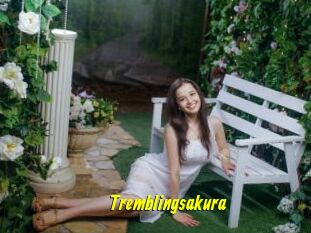 Tremblingsakura