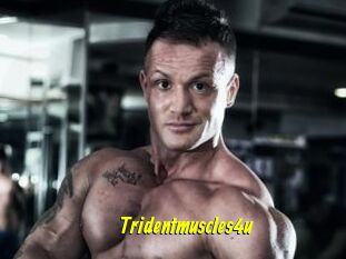 Tridentmuscles4u