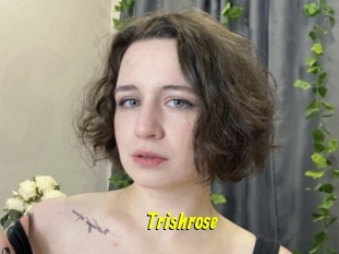 Trishrose