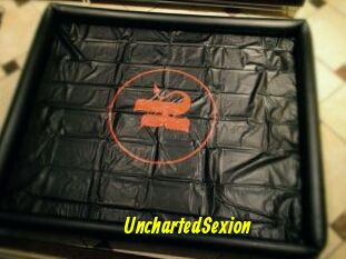 UnchartedSexion
