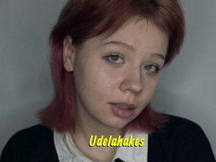 Udelahakes