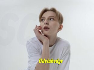 Udelahedge