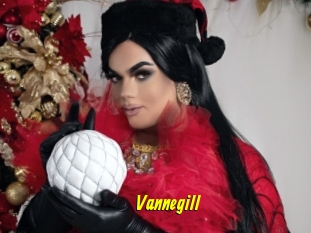 Vannegill