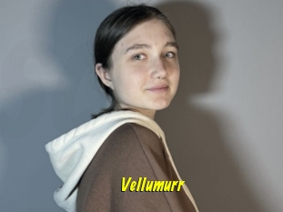 Vellumurr