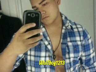 Wolfboy1213