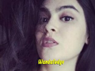 Wandafudge