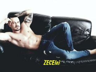 ZECElei