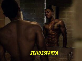 ZEHUS_SPARTA