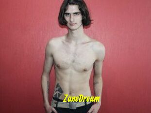 ZaneDream