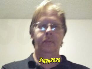 Ziggy2020