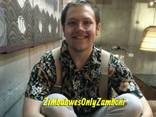 ZimbabwesOnlyZamboni