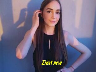 Zinet_new