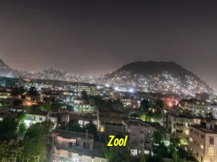 Zool