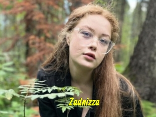 Zadnizza