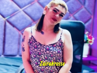 Zairahrosse