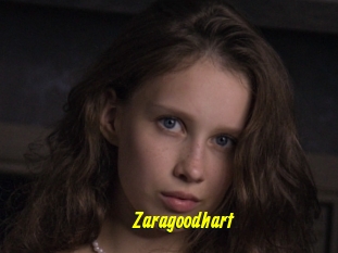 Zaragoodhart