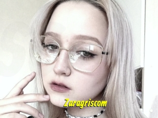 Zaragriscom