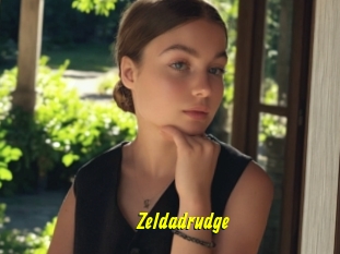 Zeldadrudge