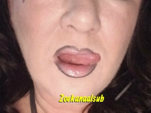 Zoekanaalsub