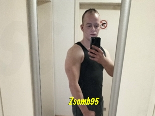 Zsomb95
